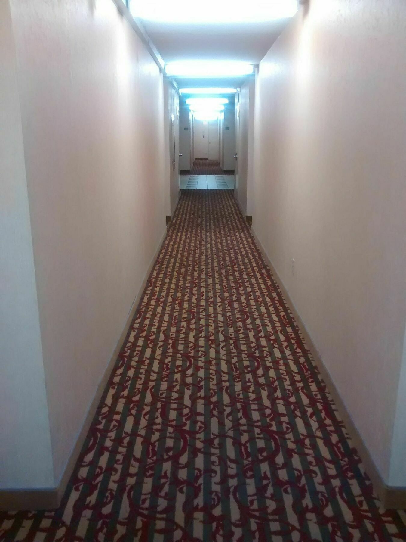 Toronto Furnished Living-Gerard Apartment Exterior photo